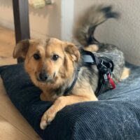 1e7531a6-1529-4211-a5f0-88a6c9f69e63