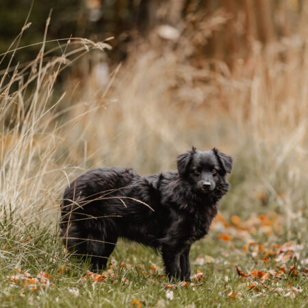 IMG_3592 IMG_3592