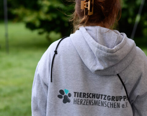 Kopie von Kopie von __DSC0308