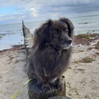 IMG-20260409-WA0012 IMG-20260409-WA0012
